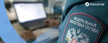 Где получить копию налоговой декларации